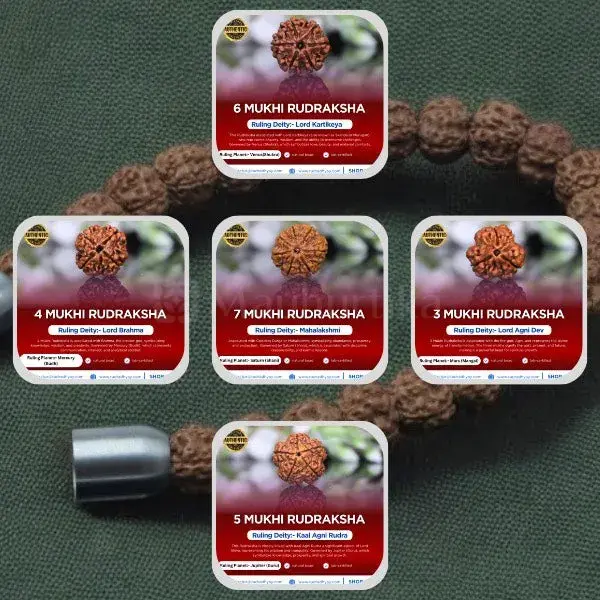 3, 4, 5, 6 & 7 Mukhi Rudraksha combo - Nepali