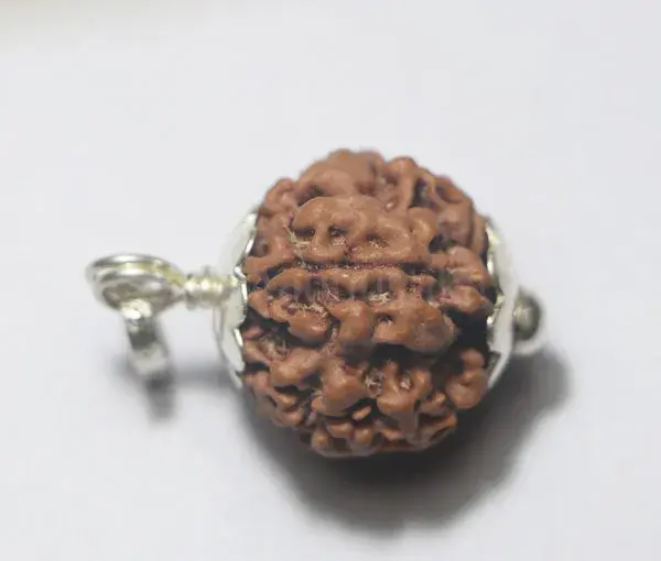1 Mukhi Rudraksha - Nepali